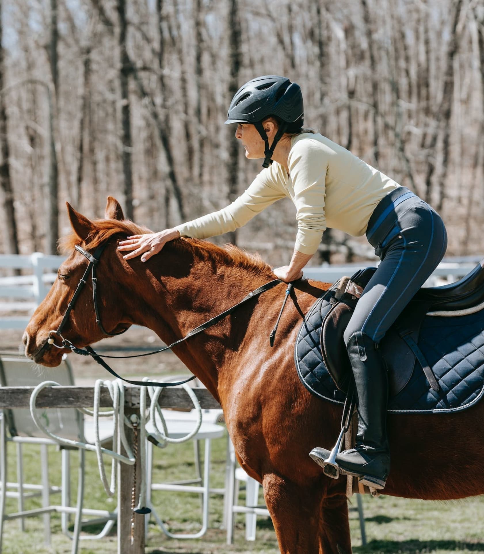 slider image with horse