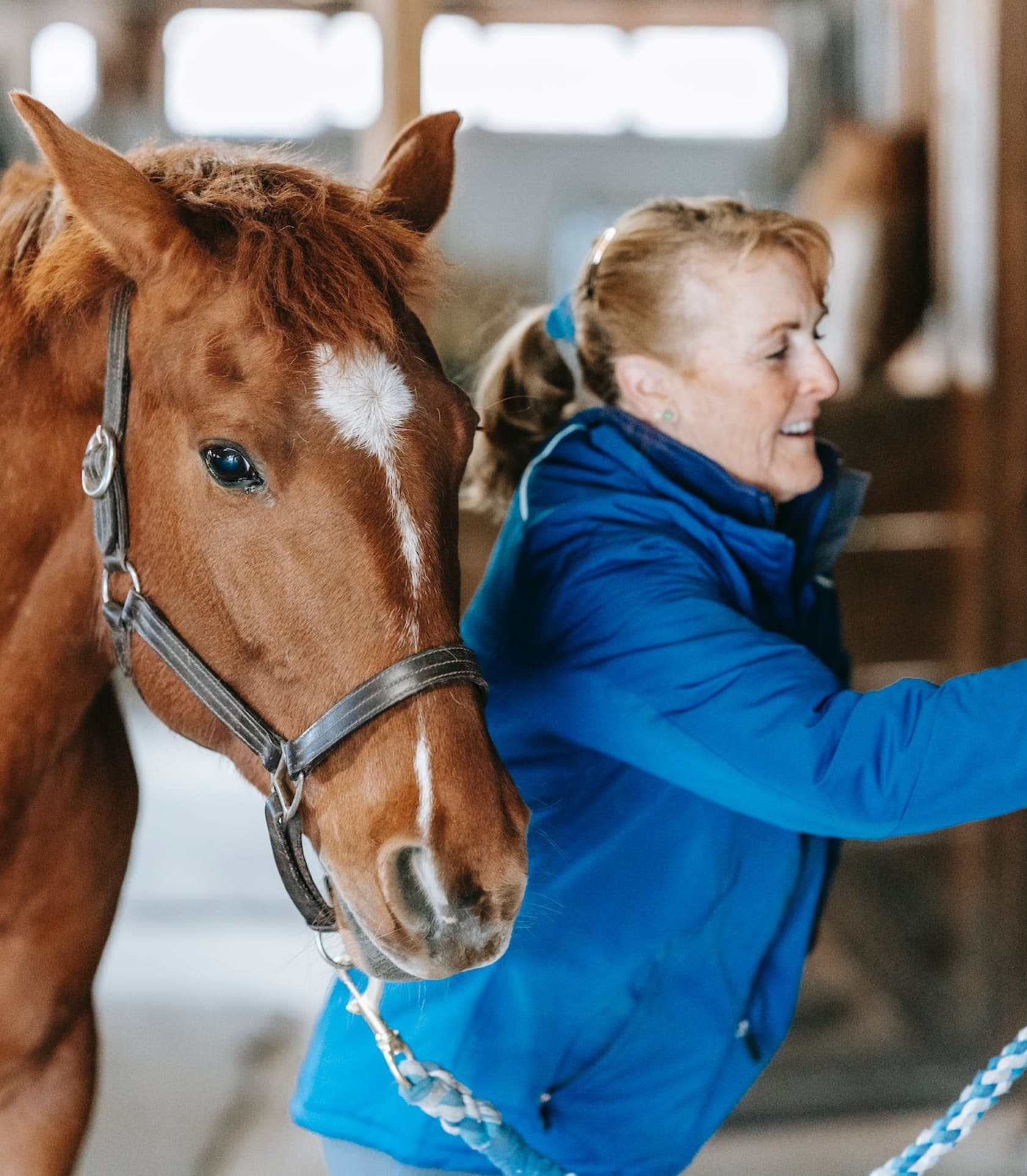 slider image with horse